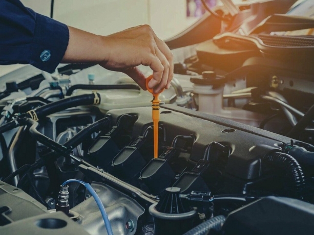 diploma.jpg diploma.jpg