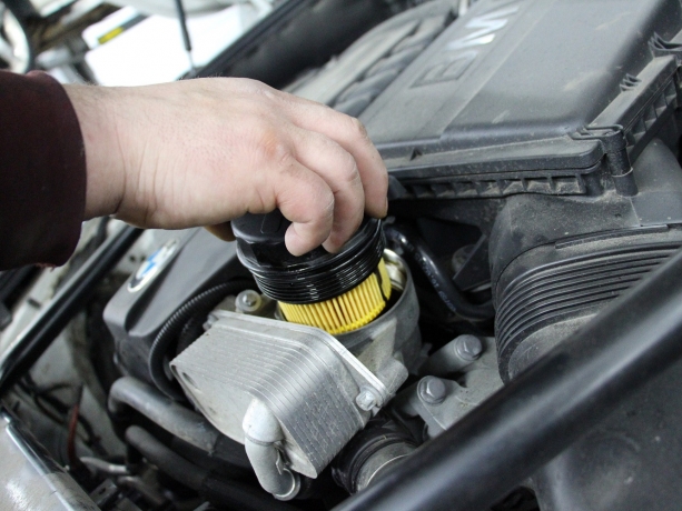 TiAAAgP33OA-1920.jpg TiAAAgP33OA-1920.jpg